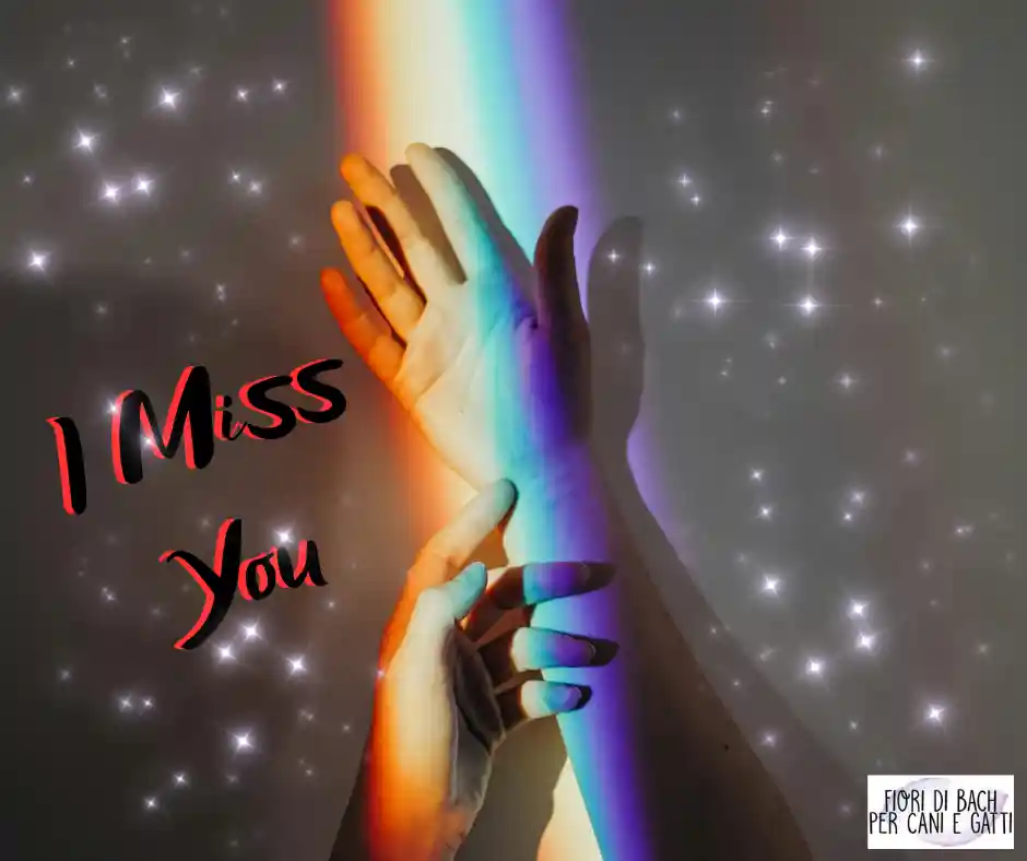 I_Miss_You